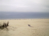 B01 Strand
