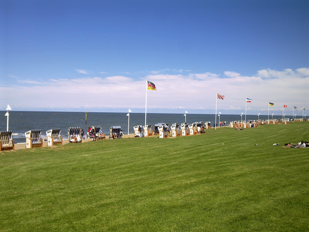 B03 Strandkrbe